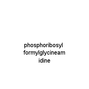 phosphoribosyl formylglycineamidine